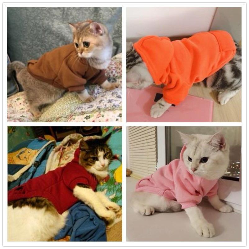 Roupas Para cães gatos Roupa esportivas de Cachorro Camiseta de bolso com Design de duas patas